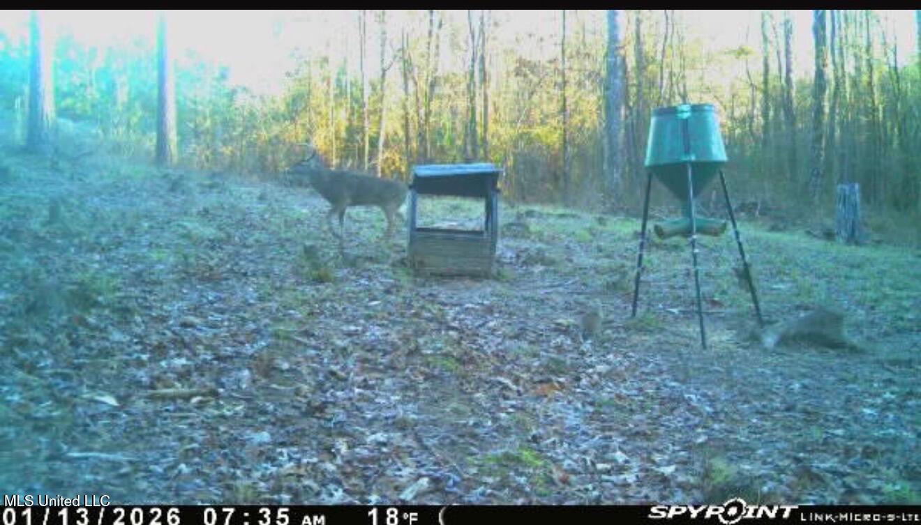 1024 Milligan Springs Road Stewart, MS 39767 - Photo 15 of 17 IMG_0996