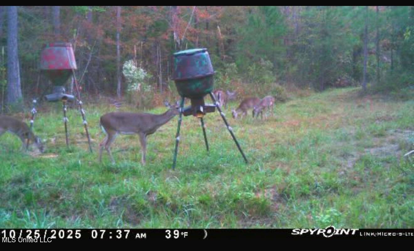 1024 Milligan Springs Road Stewart, MS 39767 - Photo 16 of 17 IMG_0180