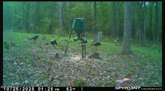 $100,000 | 1024 Milligan Springs Road, Stewart, MS 39767