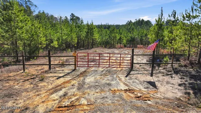 $100,000 | 1024 Milligan Springs Road, Stewart, MS 39767