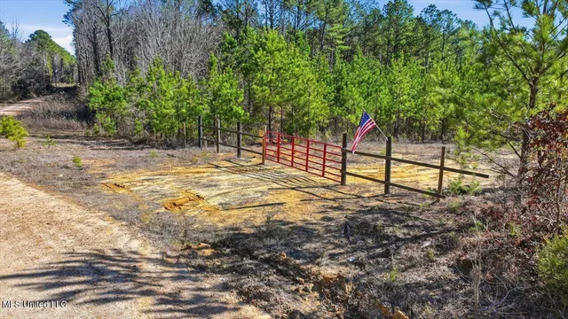 $100,000 | 1024 Milligan Springs Road, Stewart, MS 39767