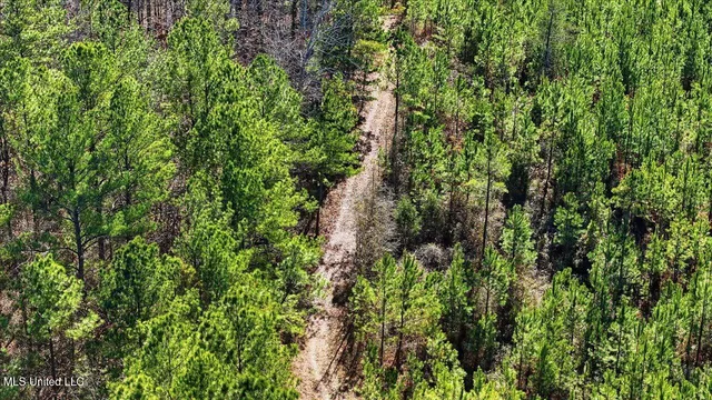 $100,000 | 1024 Milligan Springs Road, Stewart, MS 39767