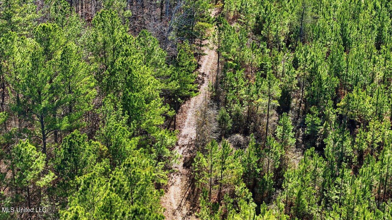 1024 Milligan Springs Road Stewart, MS 39767 - Photo 6 of 17 51-1024 Milligan Springs Rd _ Home Tours