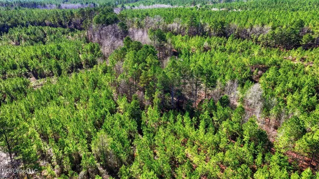 $100,000 | 1024 Milligan Springs Road, Stewart, MS 39767