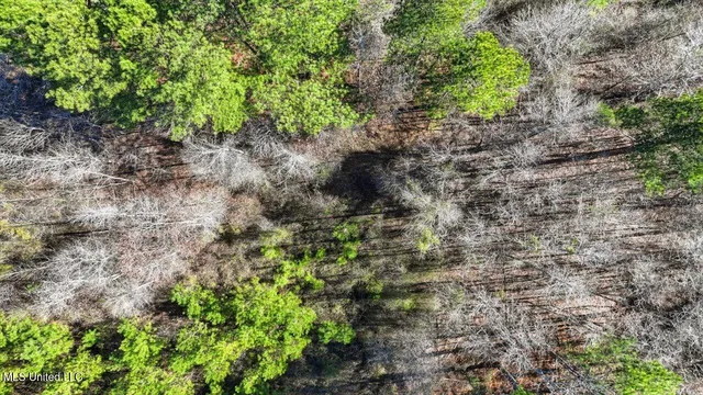 $100,000 | 1024 Milligan Springs Road, Stewart, MS 39767