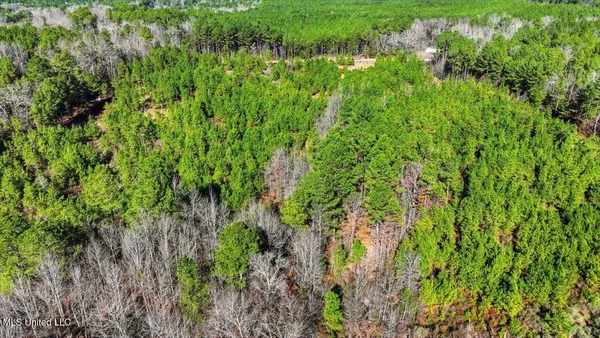 $94,000 | 1024 Milligan Springs Road, Stewart, MS 39767