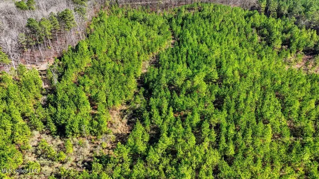 $100,000 | 1024 Milligan Springs Road, Stewart, MS 39767