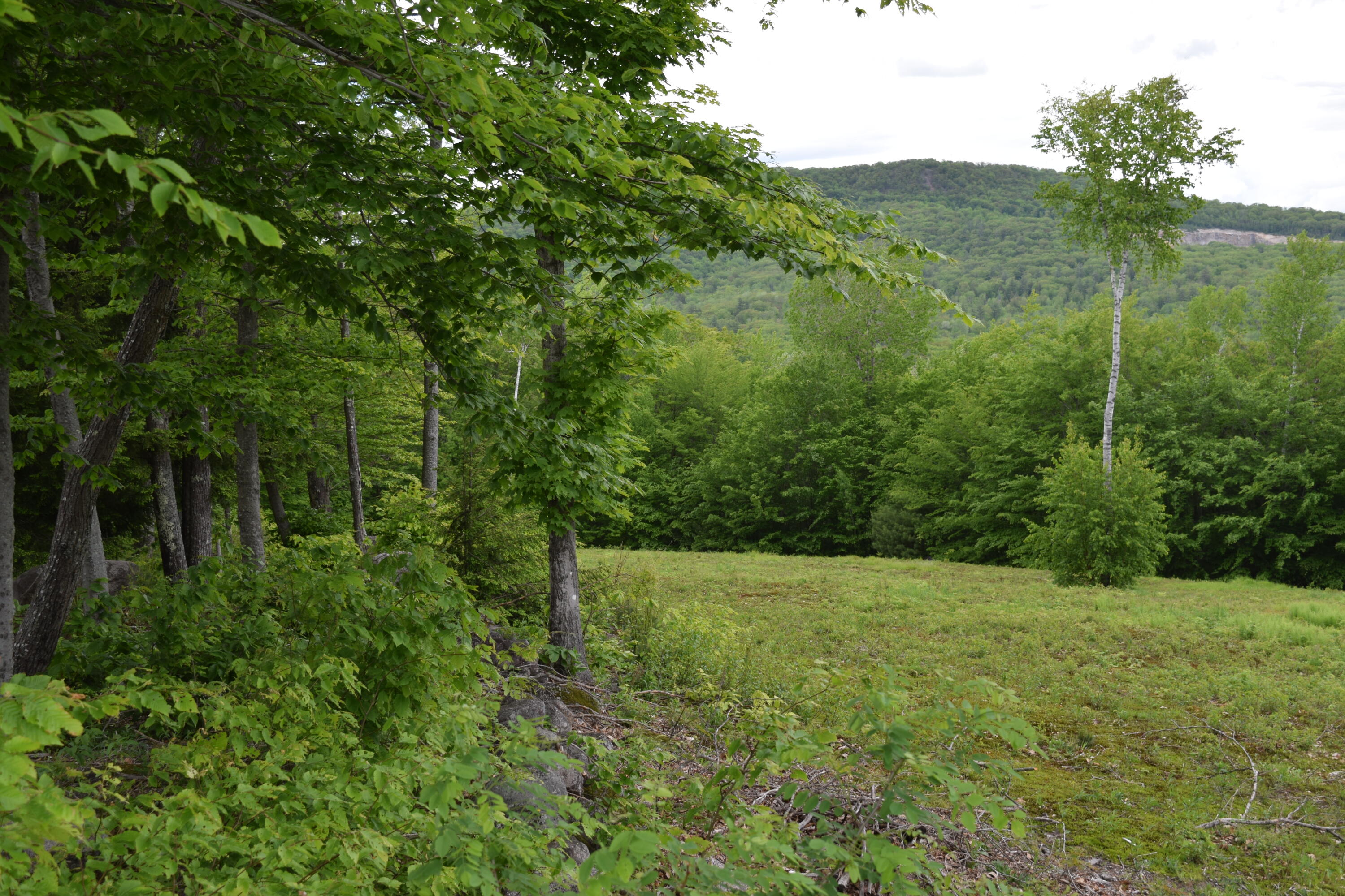 90 Dugway Road Brownfield, ME 04010 - Photo 4 of 11 DSC_0042 (1)