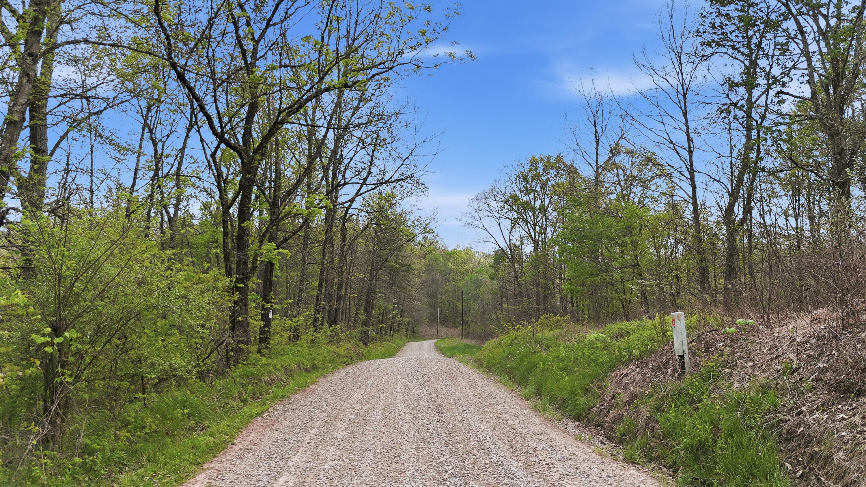 0 Beardmore Road Wingett Run, OH 45789 - Photo 5 of 43 beardmore rd-5