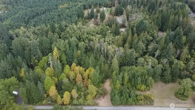 a view of a forest with a street