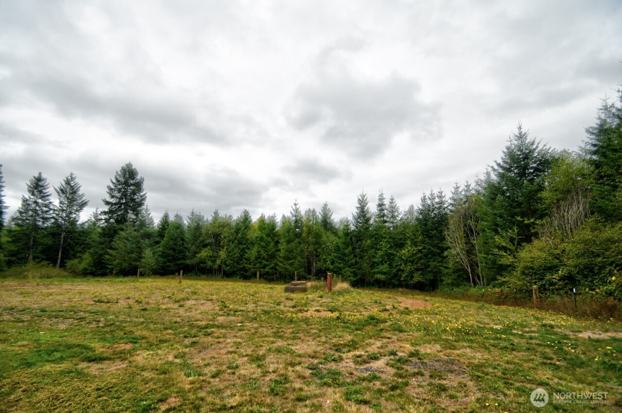 253 Kruger Road, Unit B Onalaska, WA 98570 - Photo 26 of 40