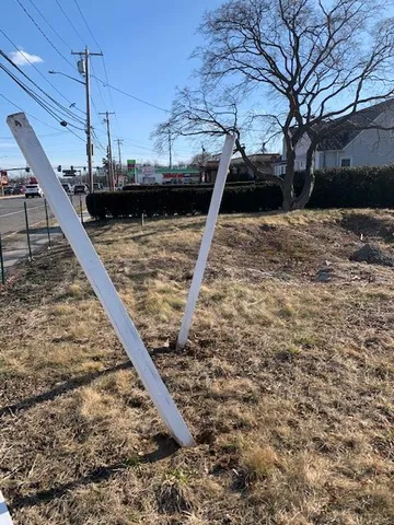a view of a backyard with a large tree