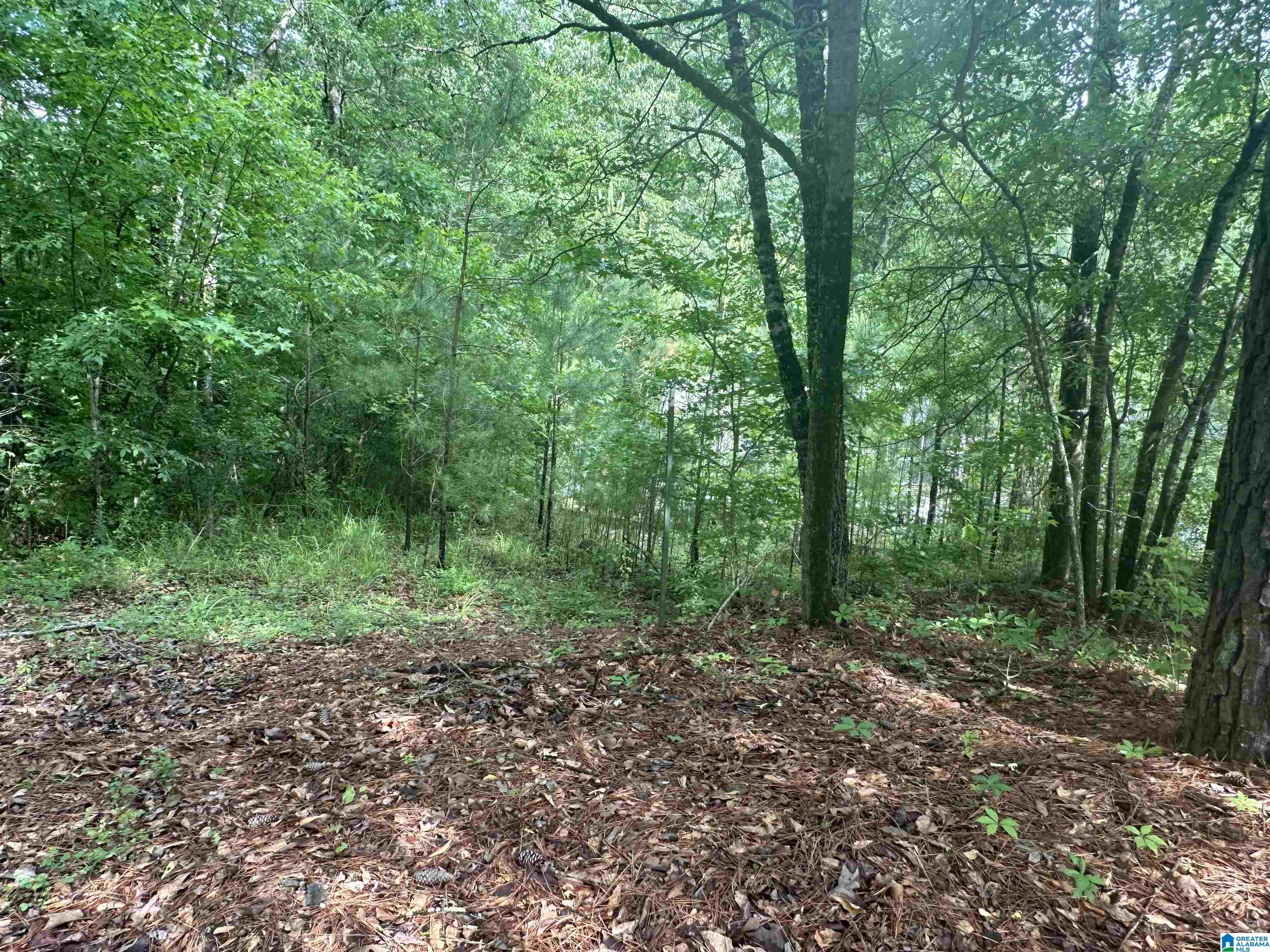 3098 McClendon Chapel Road Bessemer, AL 35022 - Photo 2 of 16