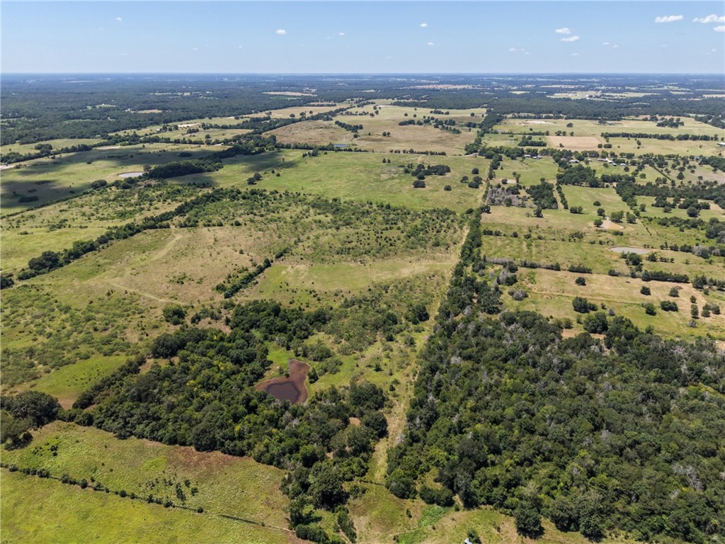 0 Henry Prairie Church Road Franklin, TX 77856 - Photo 6 of 7 Gallery Image 6