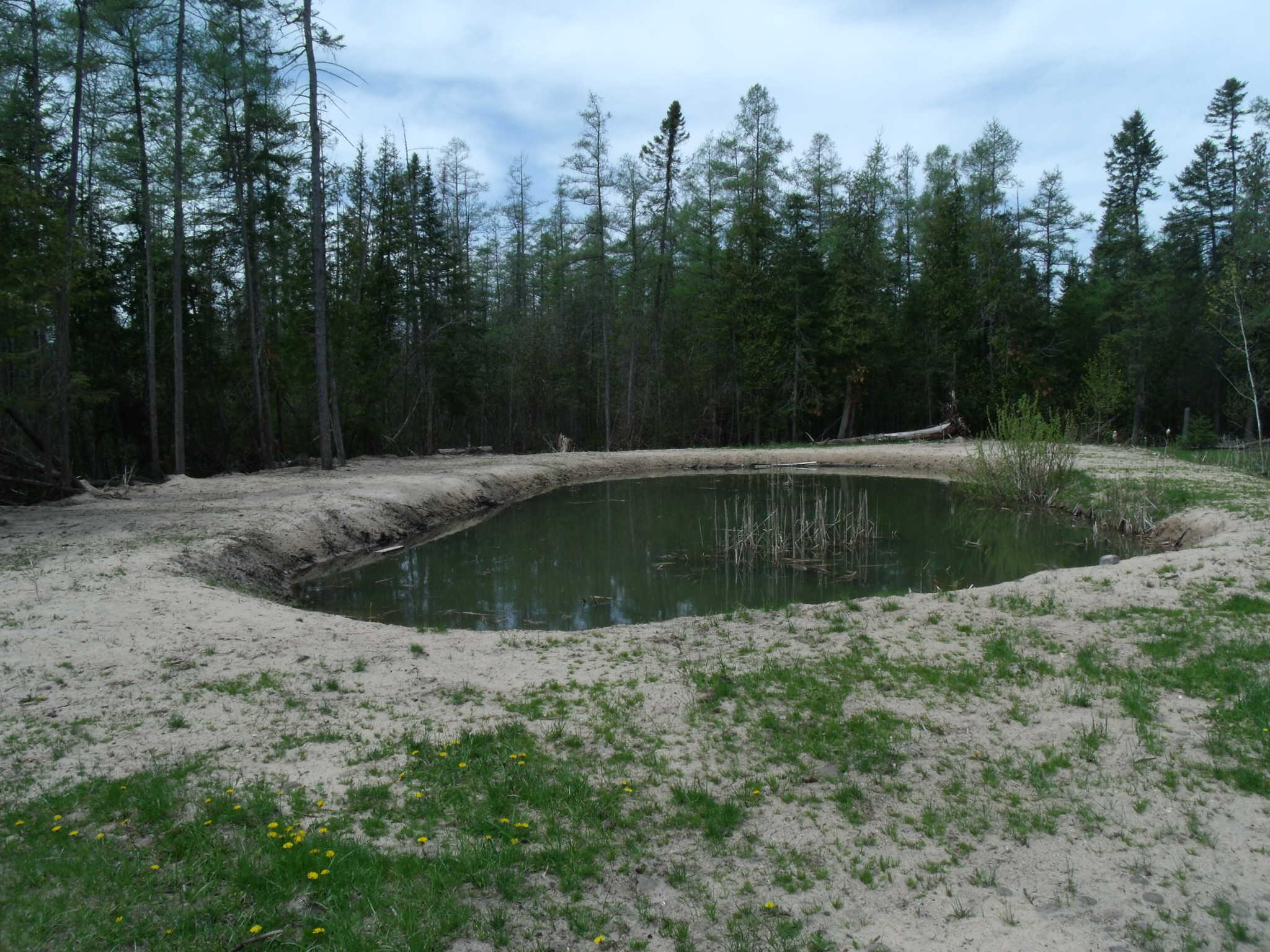 4750 Onaway Road Indian River, MI 49749 - Photo 96 of 102 Gallery Image 96