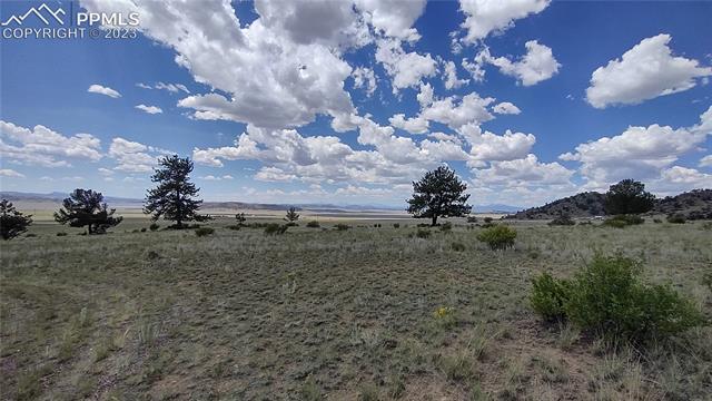 7228 Boulder Road Lake George, CO 80827 - Photo 24 of 35 Gallery Image 24