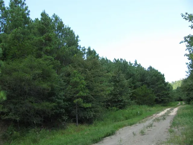 $99,999 | Tbd Josee's Journey, Nashoba, OK 74558