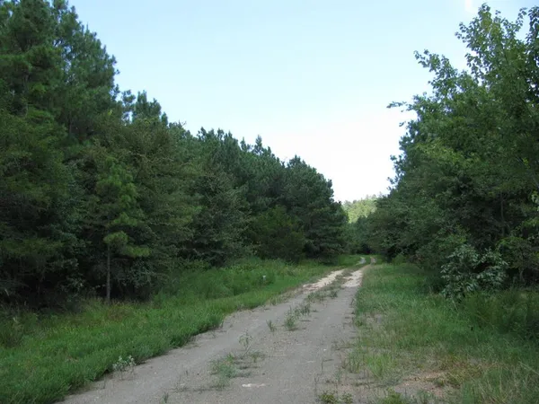 a view of a street with a trees in the background