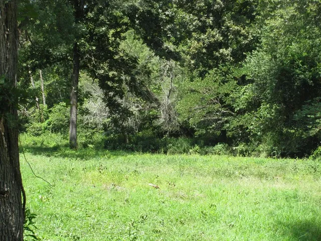 $99,999 | Tbd Josee's Journey, Nashoba, OK 74558