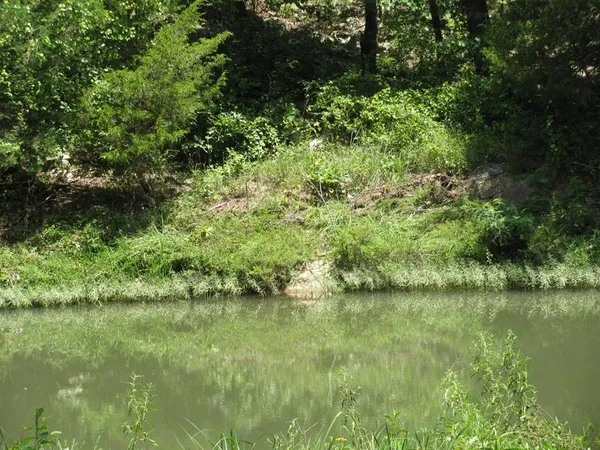 a view of a garden with a lake