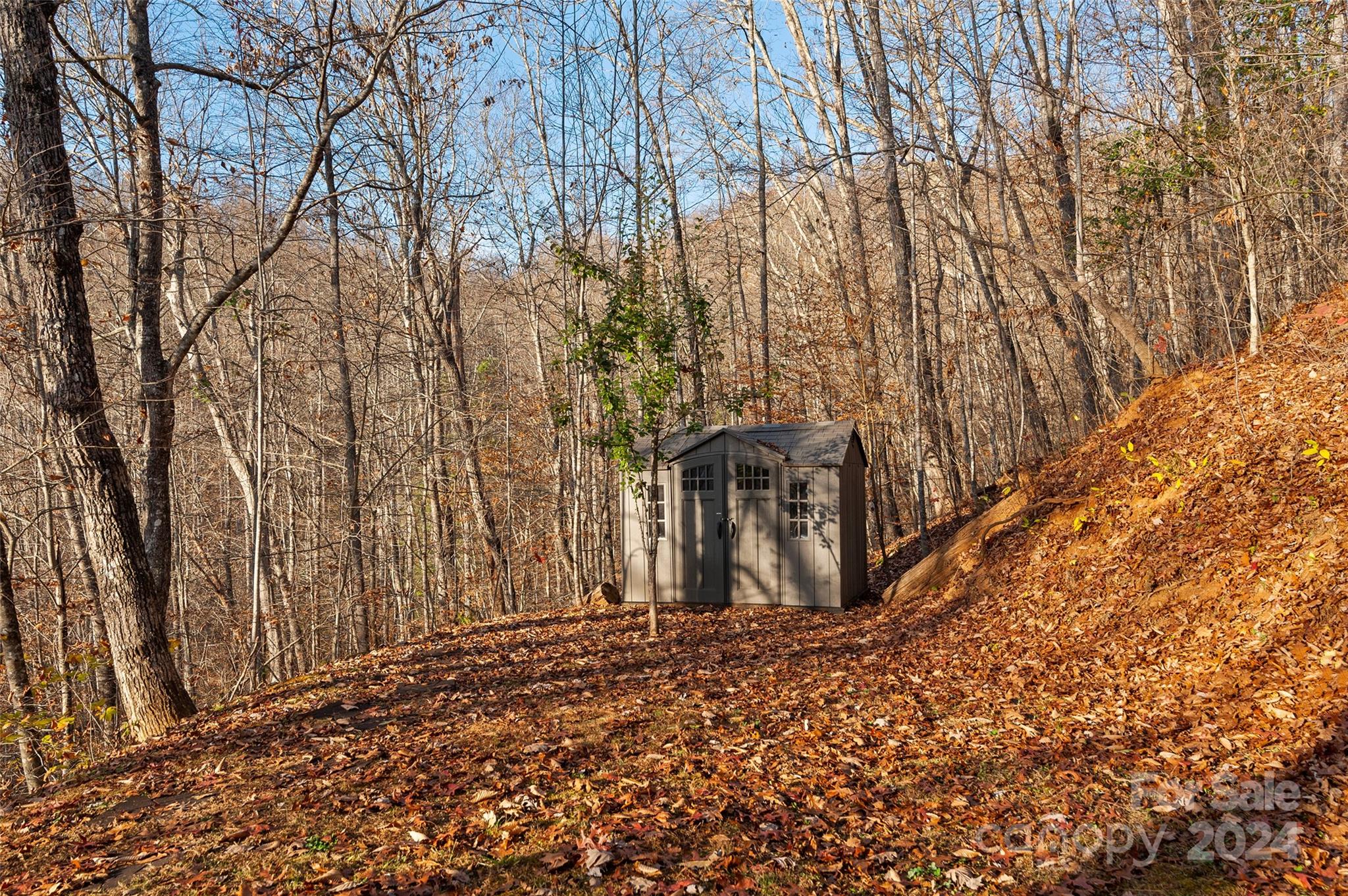 130 Chub Road Sylva, NC 28779 - Photo 27 of 33 Gallery Image 27