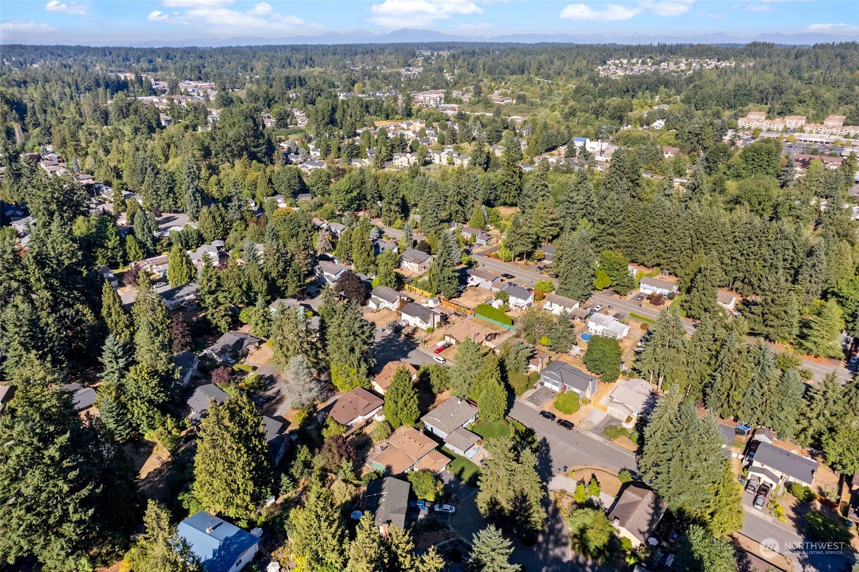 1229 206th Street Southeast Bothell, WA 98012 - Photo 38 of 40 an aerial view of a houses with a yard