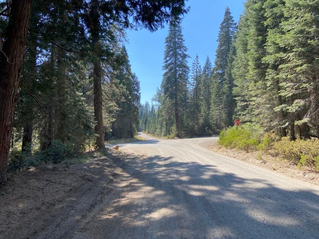 3-i-1 Red Fir Road McCloud, CA 96057 - Photo 10 of 12 Gallery Image 10