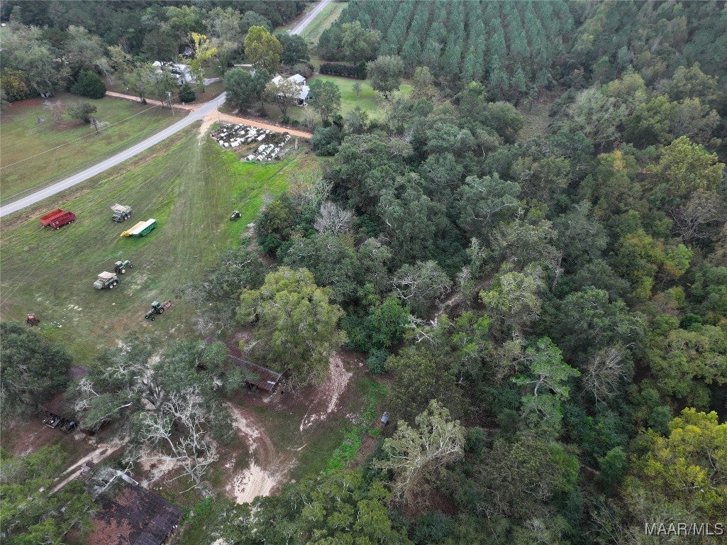 2833 Omussee Road Dothan, AL 36303 - Photo 45 of 53 Gallery Image 45