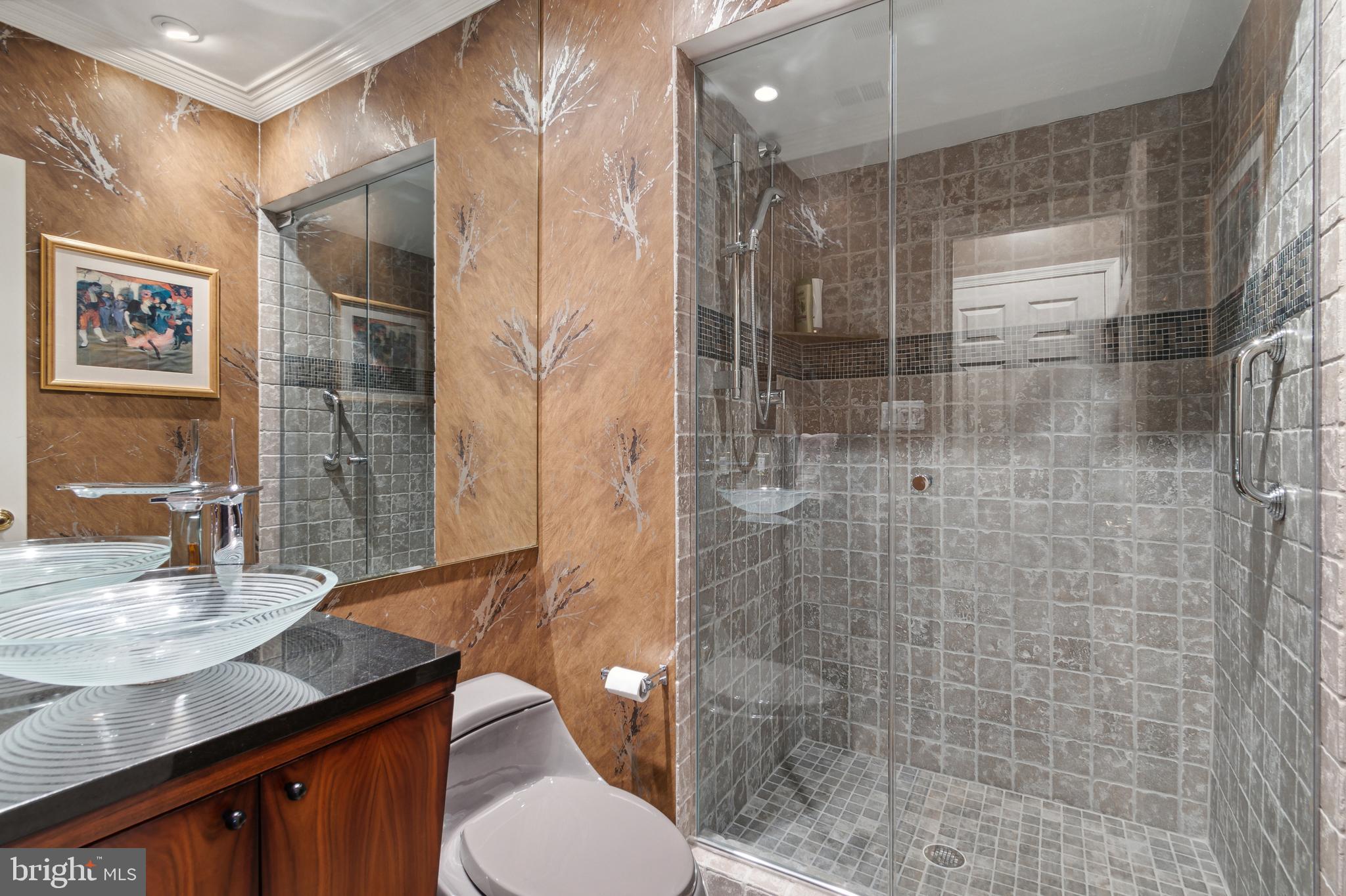 3737 Winfield Lane Northwest Washington, DC 20007 - Photo 43 of 54 Lower Level Full Bath