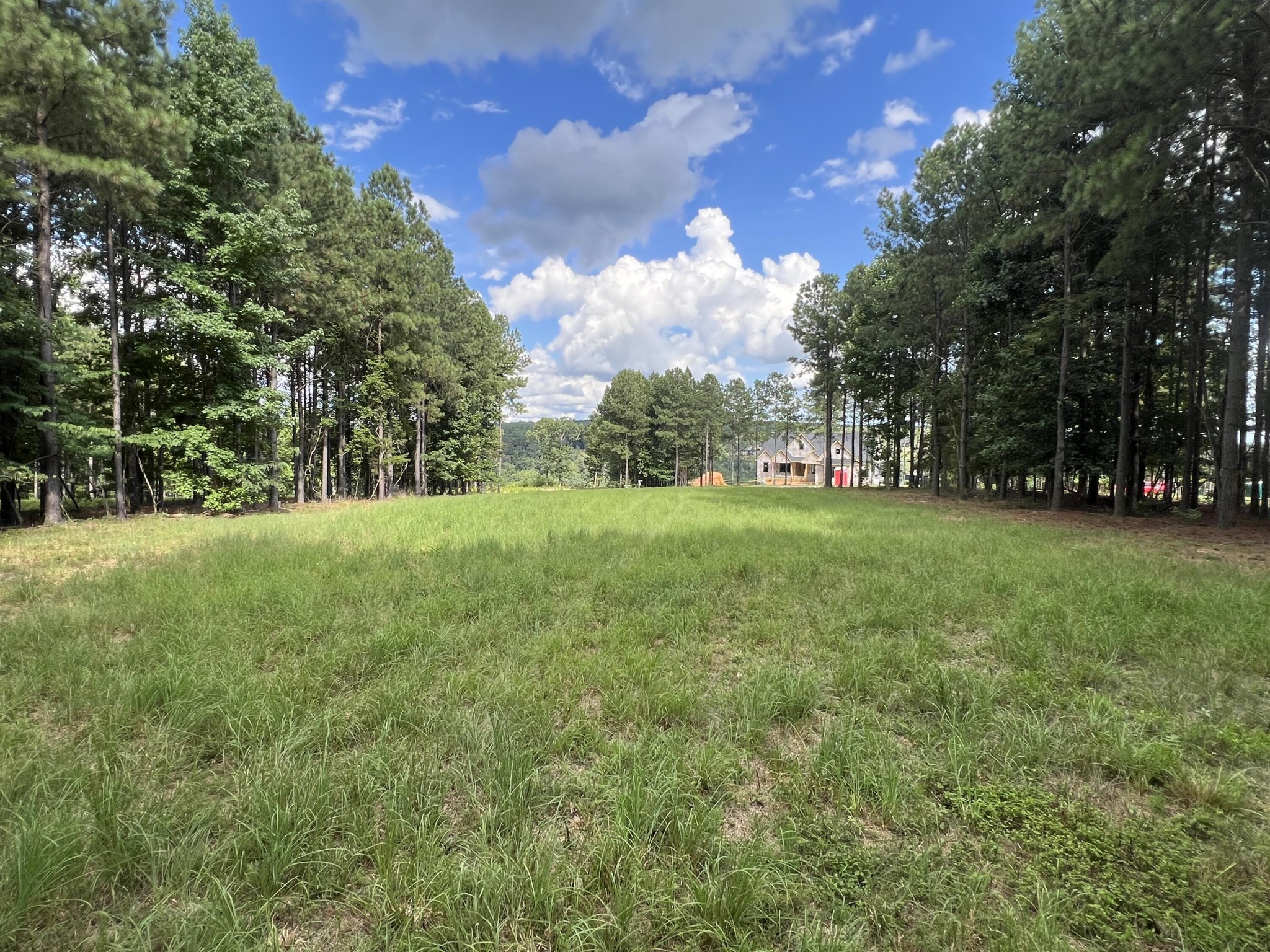 81 Crockett Loop Jasper, TN 37347 - Photo 1 of 35 a view of a trees with a big yard