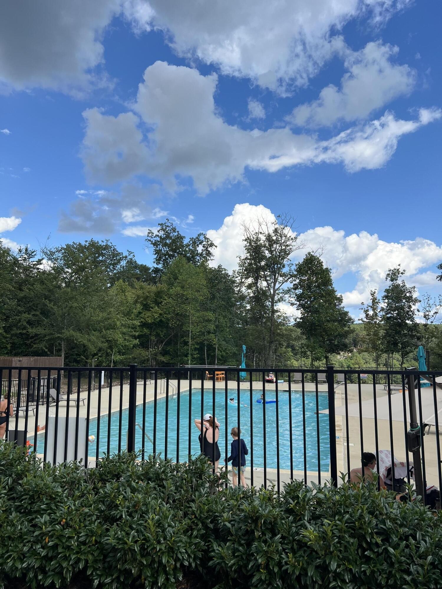 81 Crockett Loop Jasper, TN 37347 - Photo 17 of 35 a view of a lake from a yard