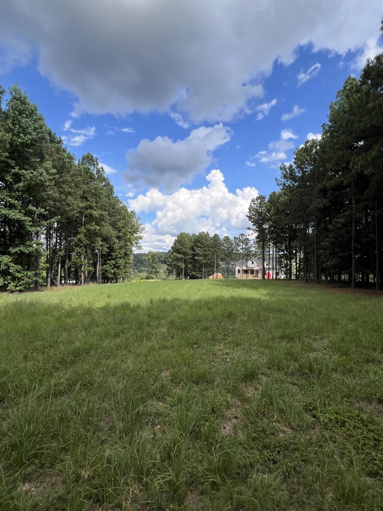 81 Crockett Loop Jasper, TN 37347 - Photo 2 of 35 a view of green field with trees in the background