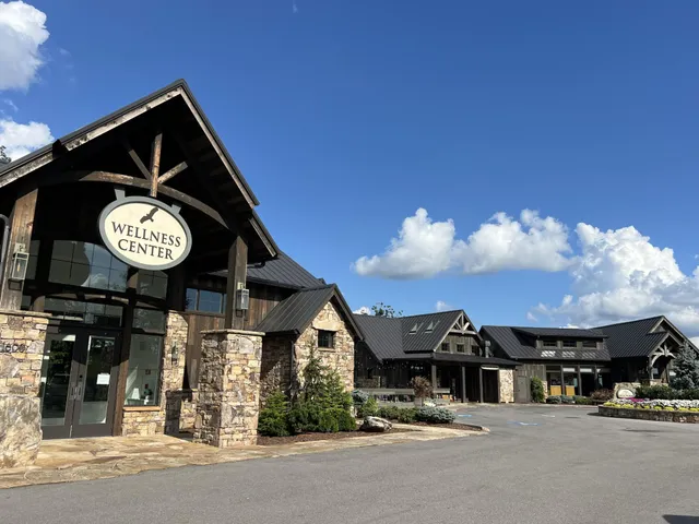 a front view of house with a garden