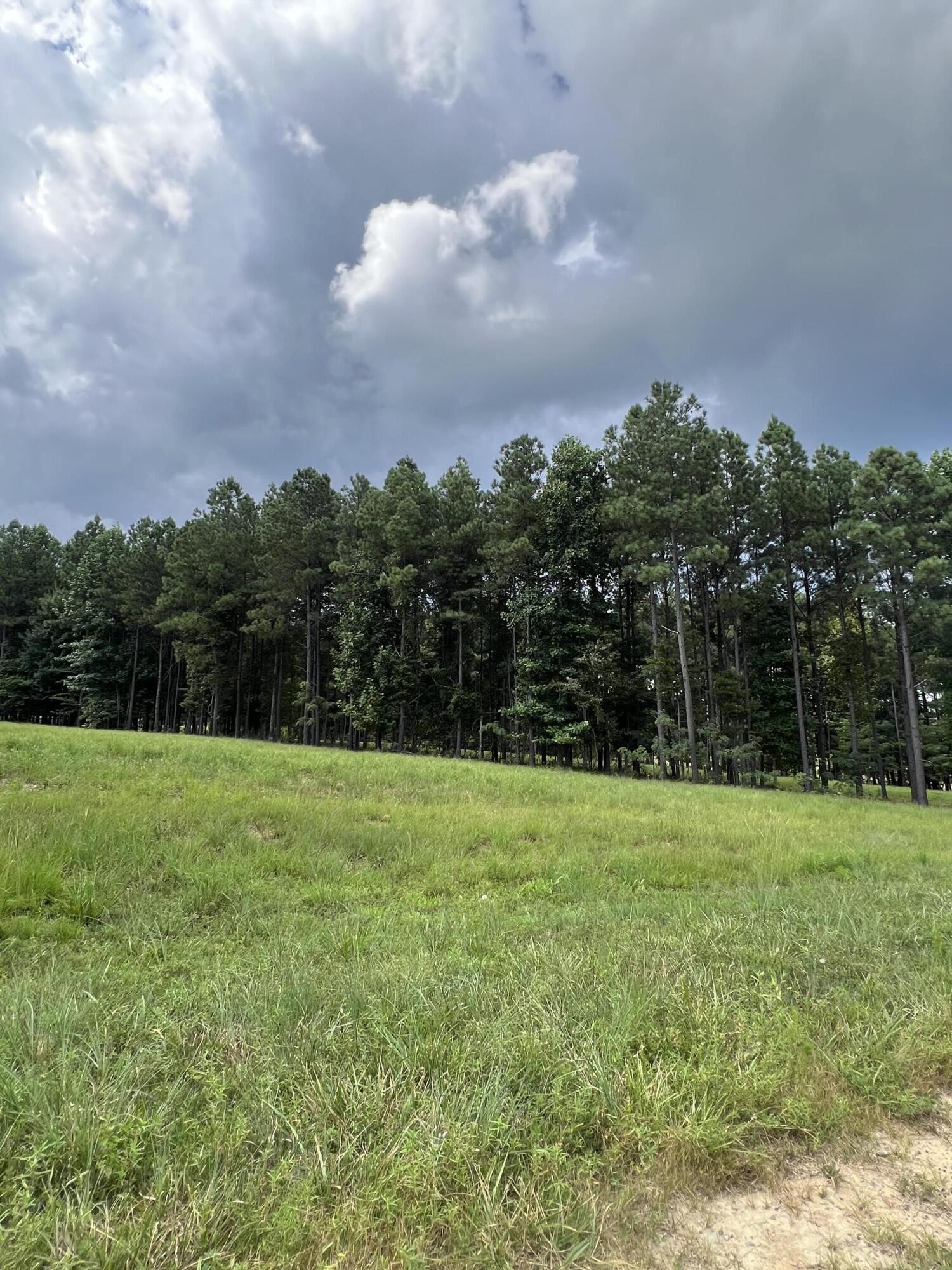 81 Crockett Loop Jasper, TN 37347 - Photo 3 of 35 a view of a grassy field with trees in the background