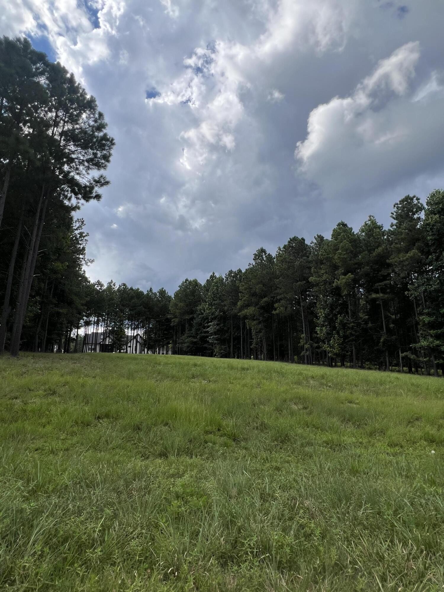 81 Crockett Loop Jasper, TN 37347 - Photo 4 of 35 a view of grassy field with trees