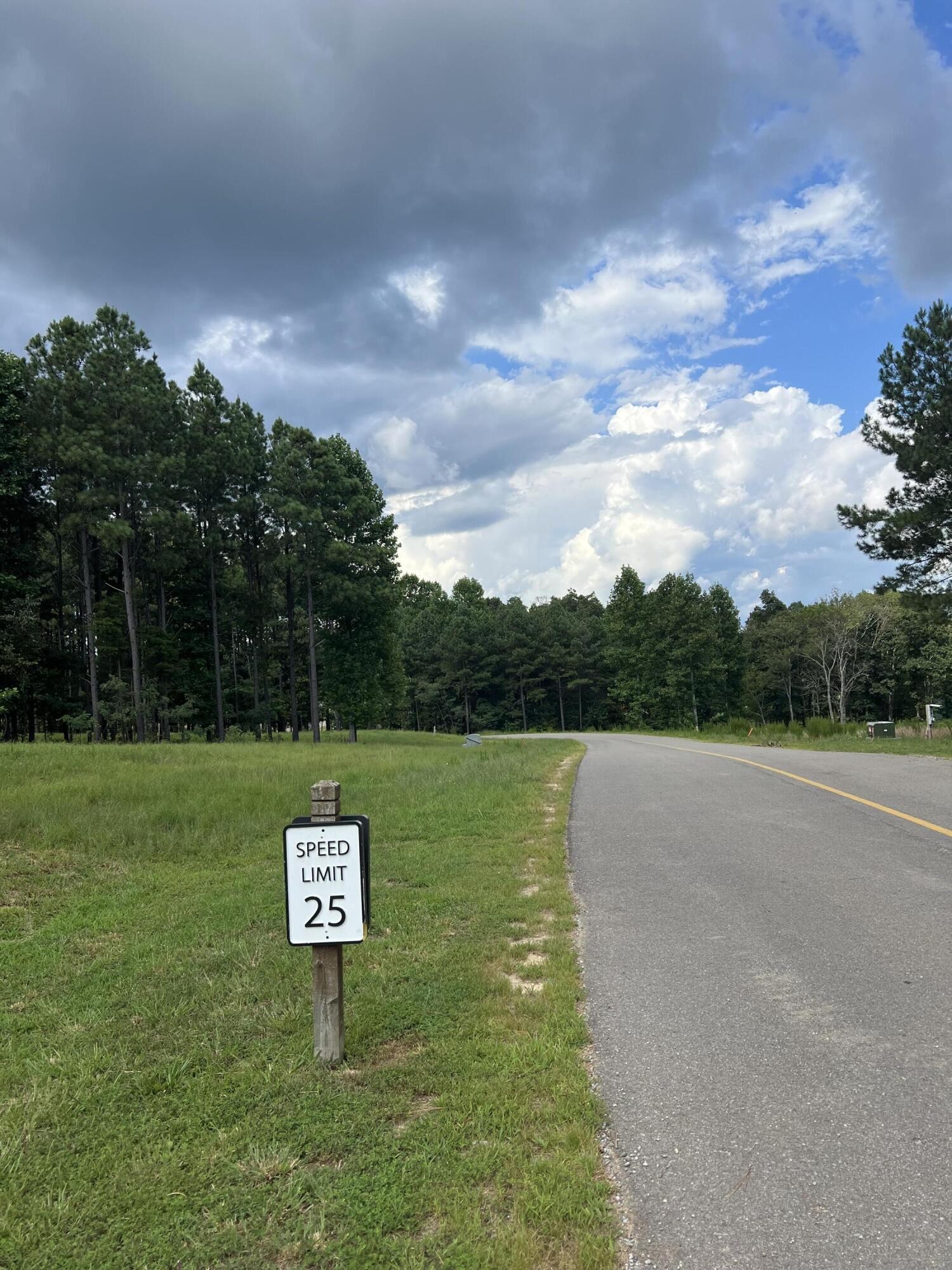81 Crockett Loop Jasper, TN 37347 - Photo 6 of 35 a view of a park with a sign board