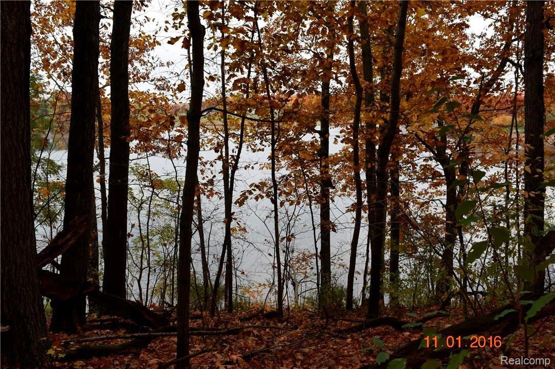 0 Perryville Road Ortonville, MI 48462 - Photo 3 of 14 _DSC0350.JPG