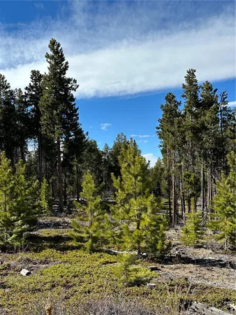 $4,900,000 | 1101 Cr 99 Black Hawk Co 80422, Black Hawk, CO 80422