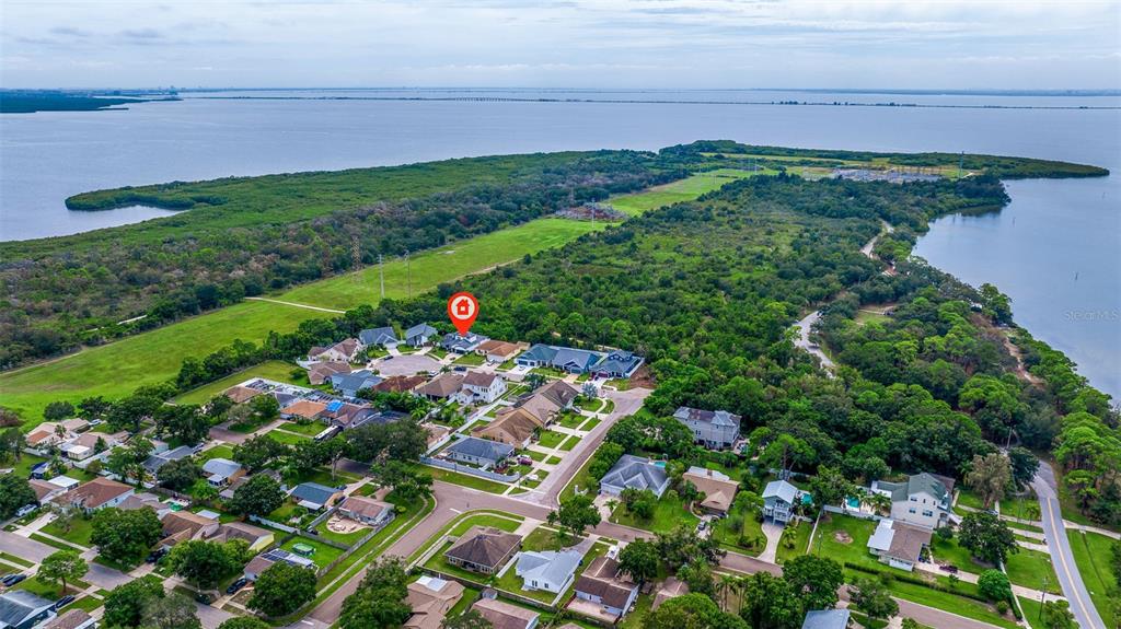 205 Bengal Circle Oldsmar, FL 34677 - Photo 34 of 40 a view of a garden with plants and large trees