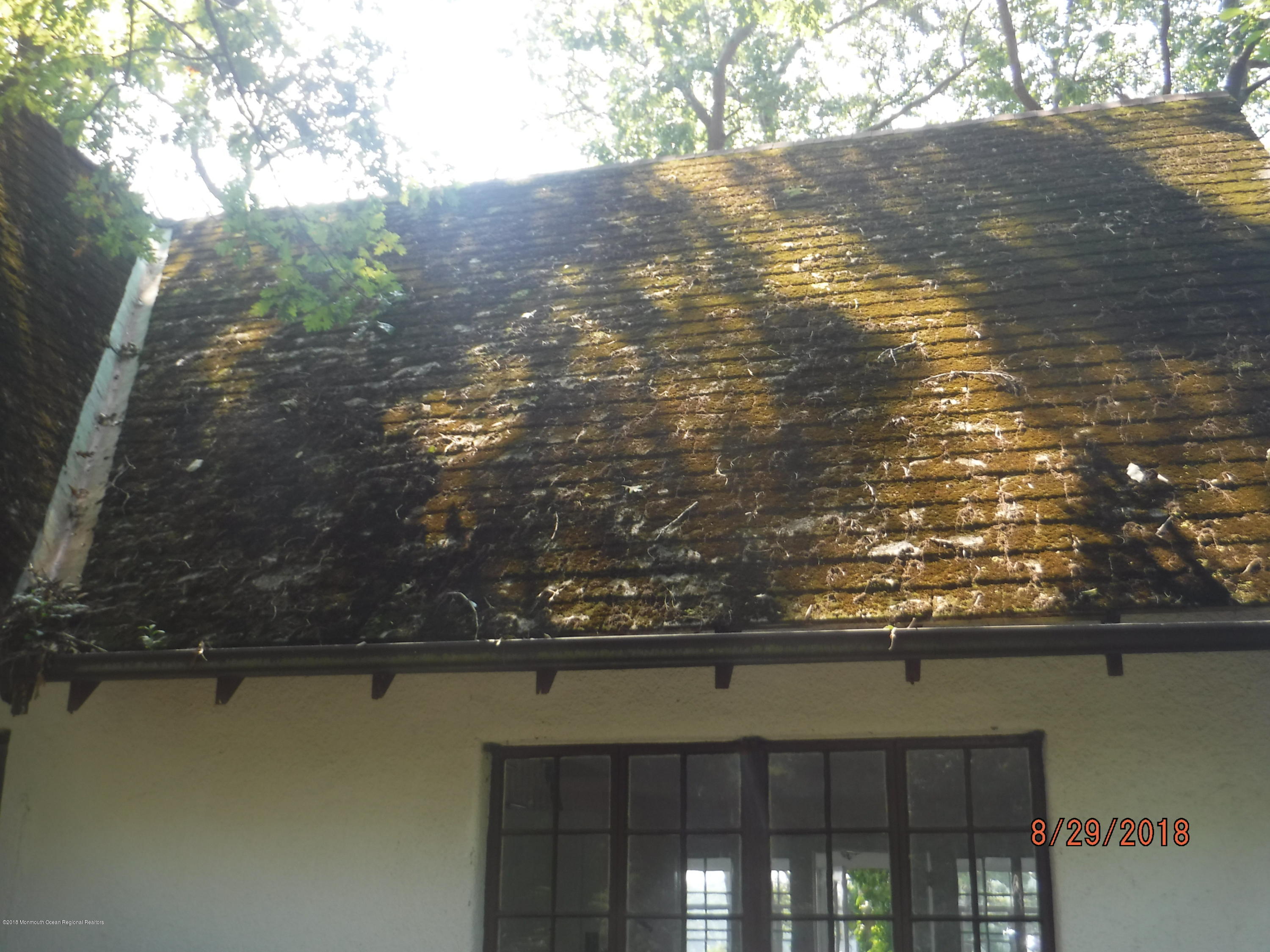 2413 Riverside Terrace Manasquan, NJ 08736 - Photo 45 of 46 roof condition