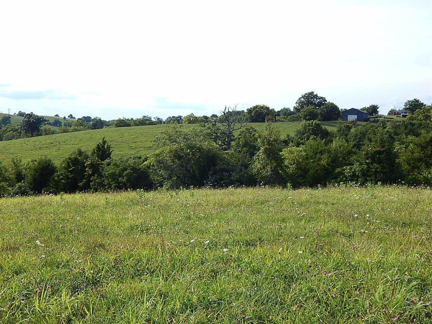 1450 Cole Road Winchester, KY 40391 - Photo 79 of 89 Photo 79