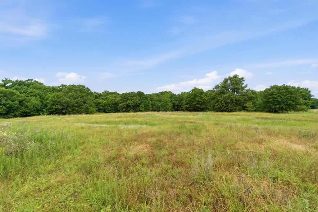 Tbd Lone Star Road Weatherford, TX 76088 - Photo 17 of 20