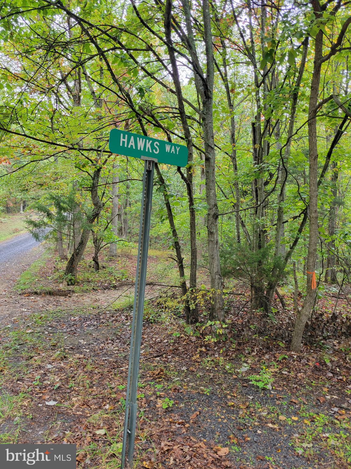 Hawks Way Delray, WV 26714 - Photo 1 of 8 Corner lot