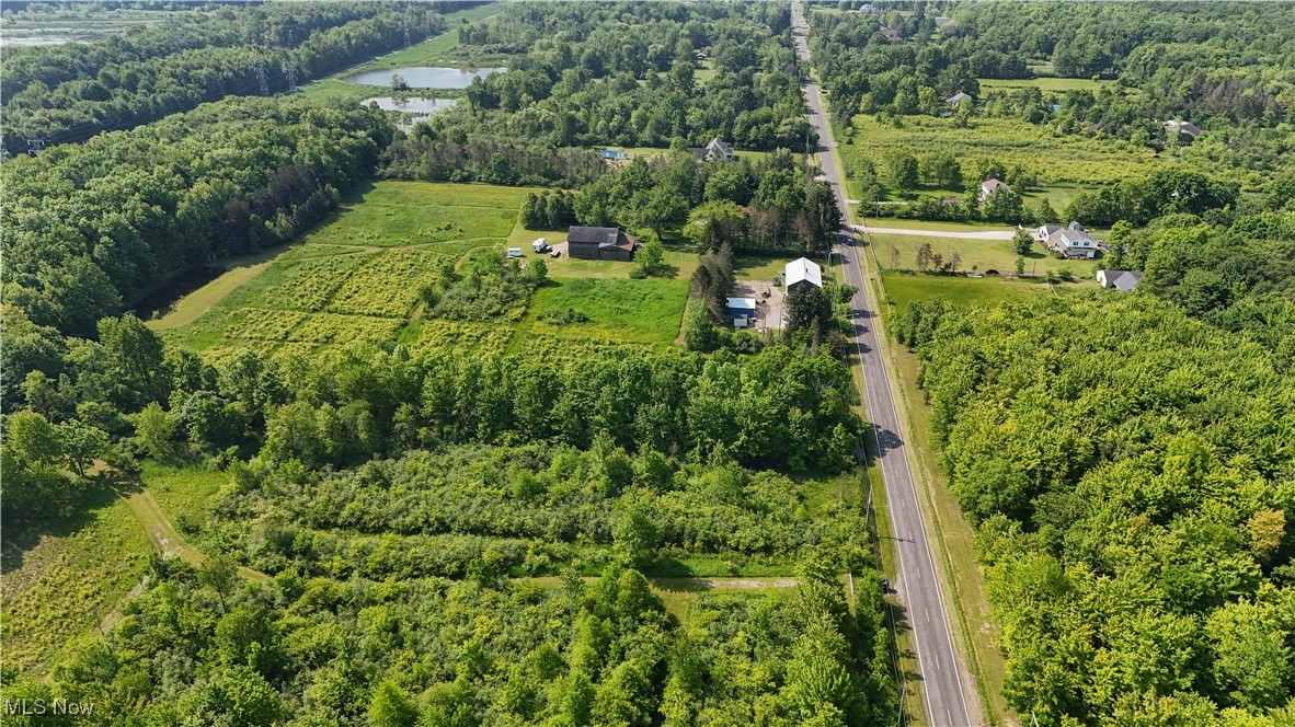 Brakeman Road Painesville, OH 44077 - Photo 9 of 24 Aerial view of property's location