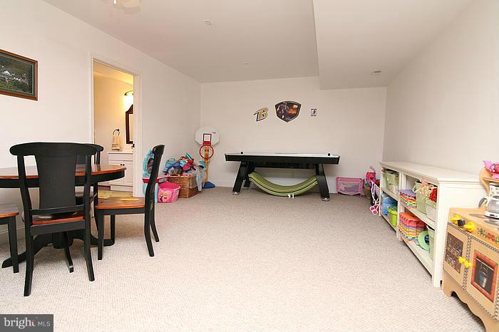 15683 Dover Road Upperco, MD 21155 - Photo 28 of 30 Lower level Recreation room