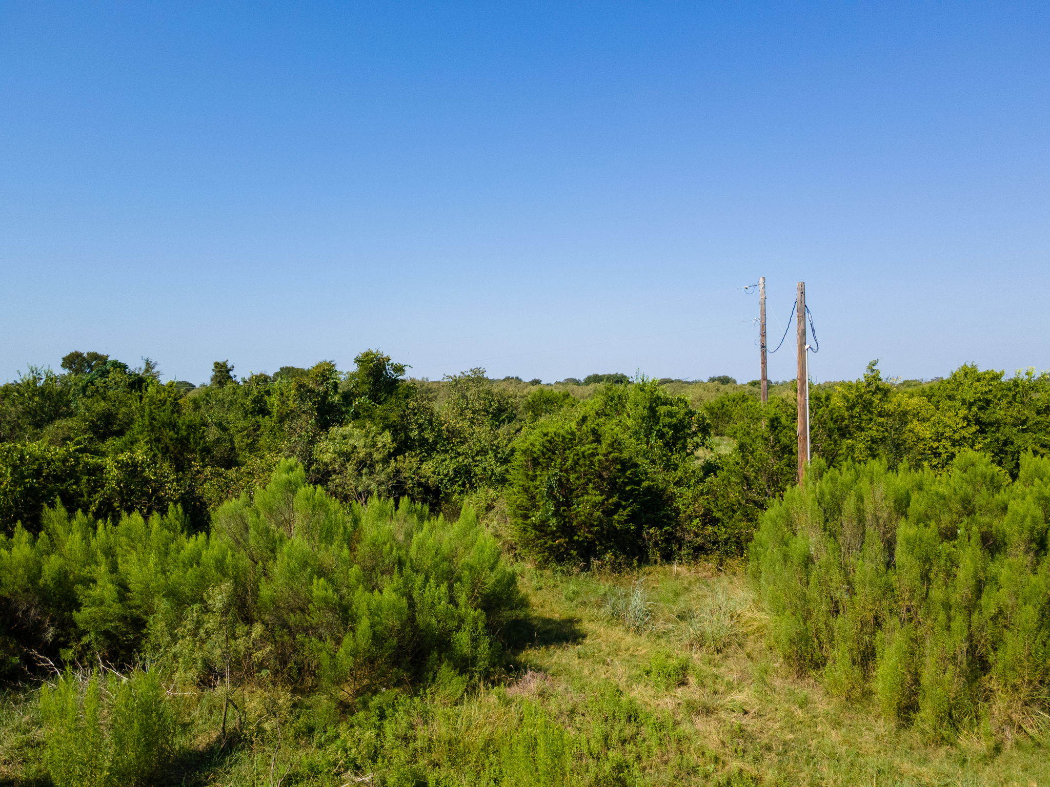 0 1276th Prairie Lampasas, TX 76550 - Photo 4 of 19 a view of a garden