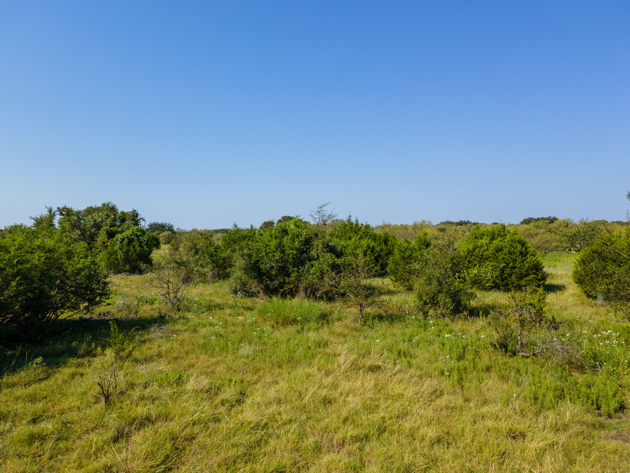 0 1276th Prairie Lampasas, TX 76550 - Photo 7 of 19 a view of a bunch of trees in a field