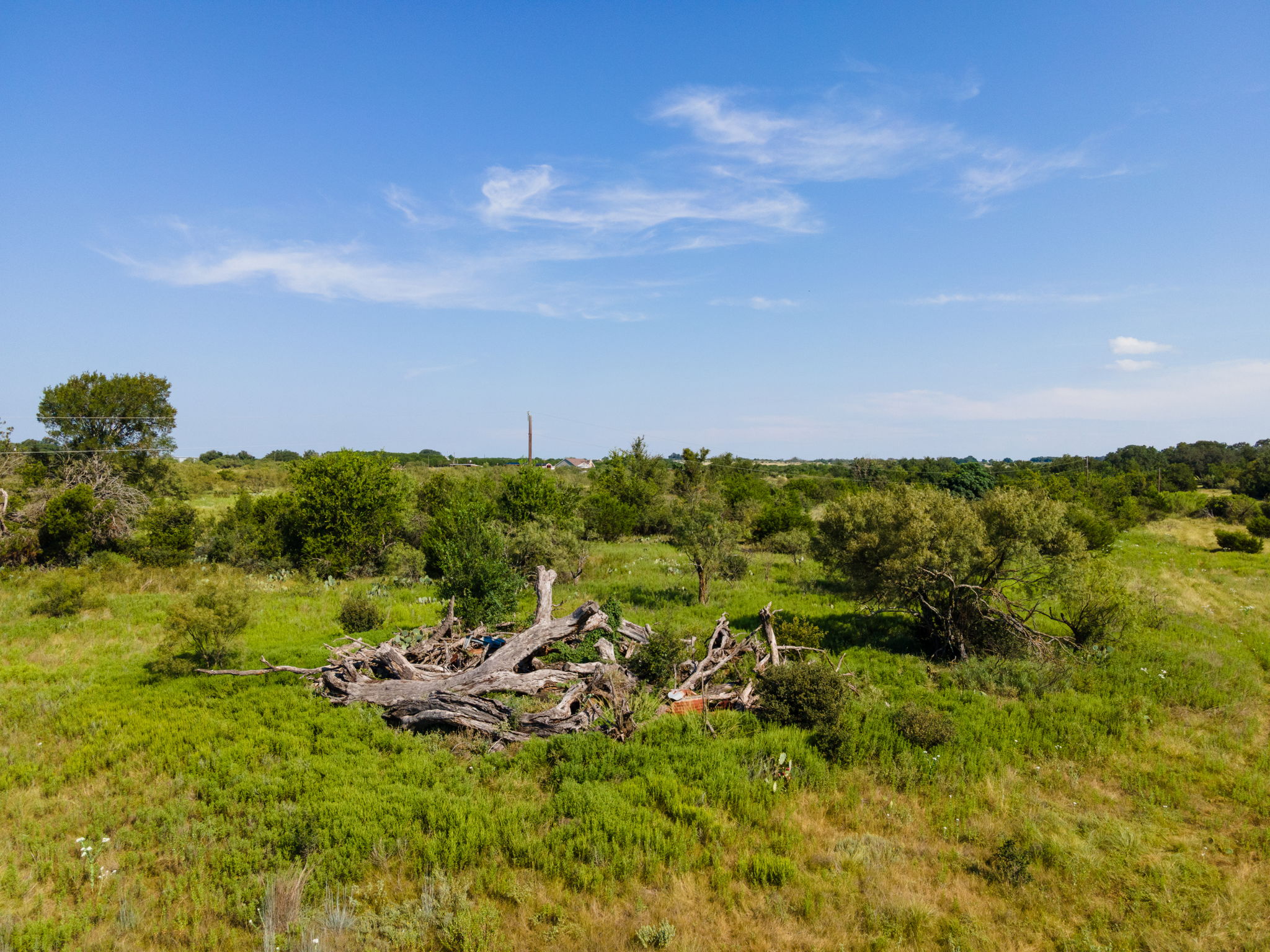 0 1276th Prairie Lampasas, TX 76550 - Photo 9 of 19 a view of a green field with lots of plants in it