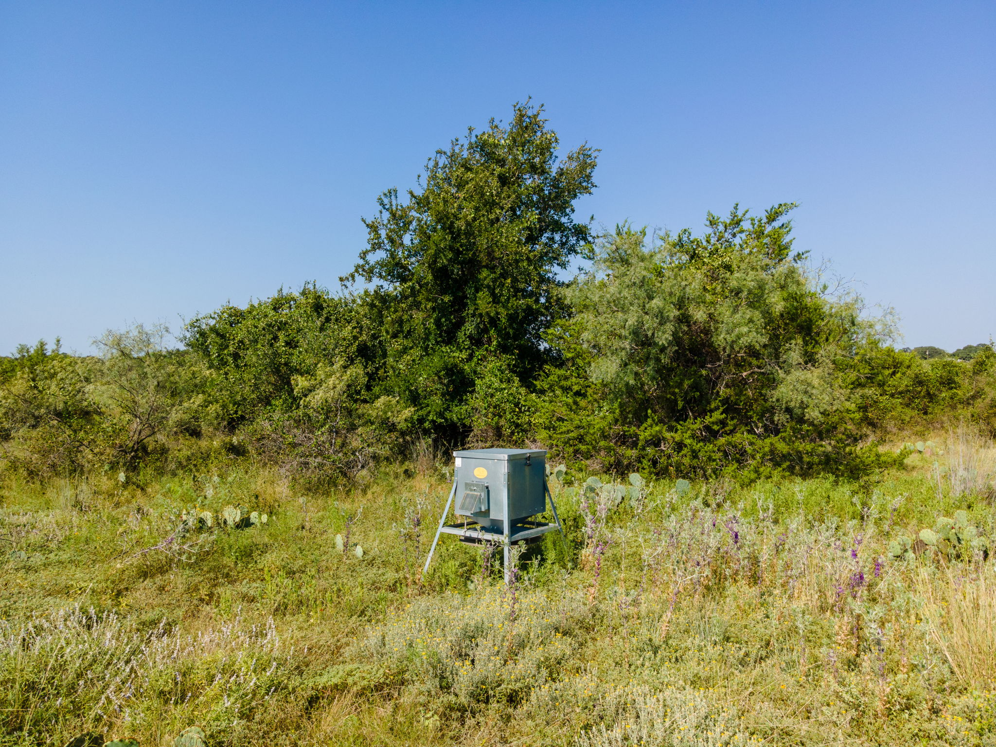 0 1276th Prairie Lampasas, TX 76550 - Photo 10 of 19 a garden view