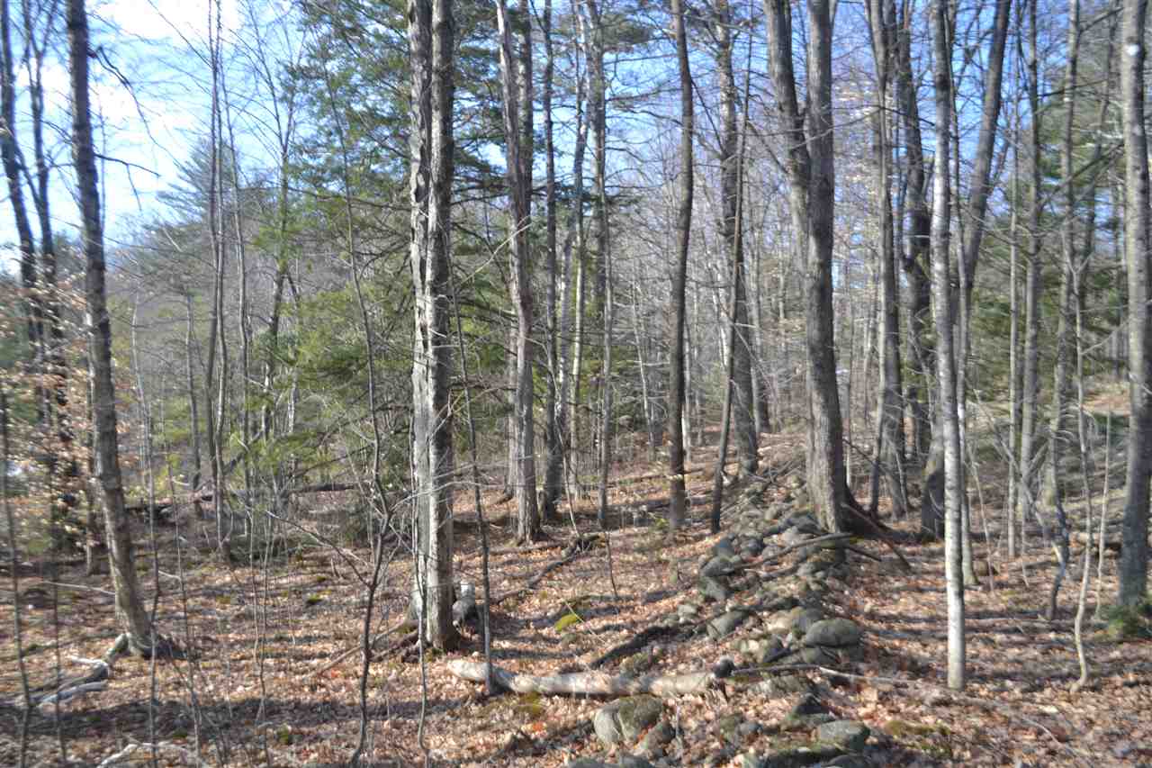 198-210 Hensmith Road Salisbury, NH 03268 - Photo 5 of 7 Gallery Image 5